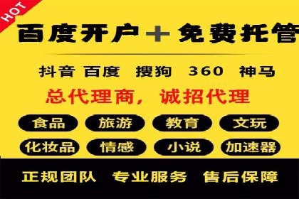 搜索引擎营销（SEM）广告的创意与执行案例